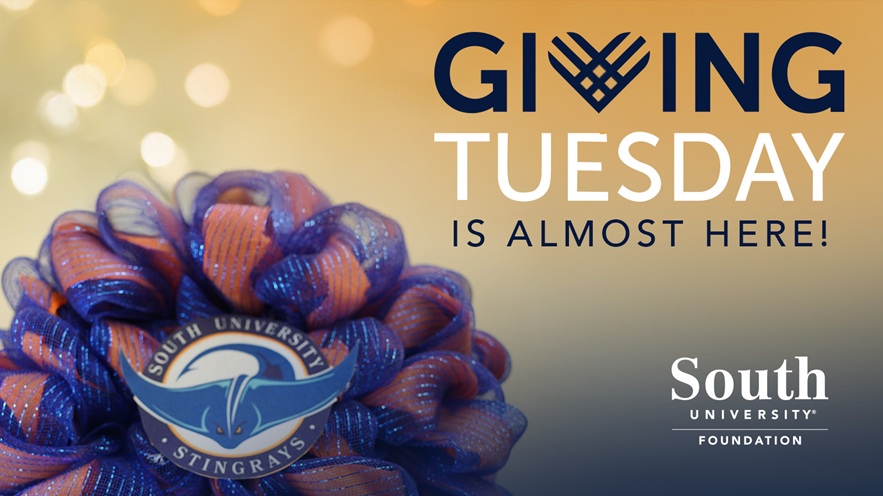 giving tuesday announcement with bow, stinger logo, and foundation logo